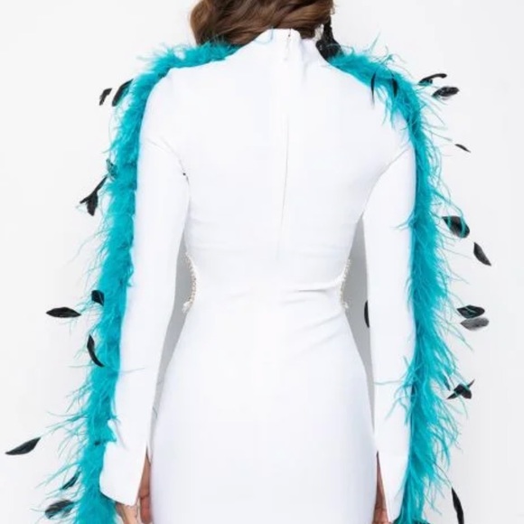 🆕🆕🔥🔥In It To Win It Real Feather Bandage Dress🔥🔥 - Picture 4 of 8